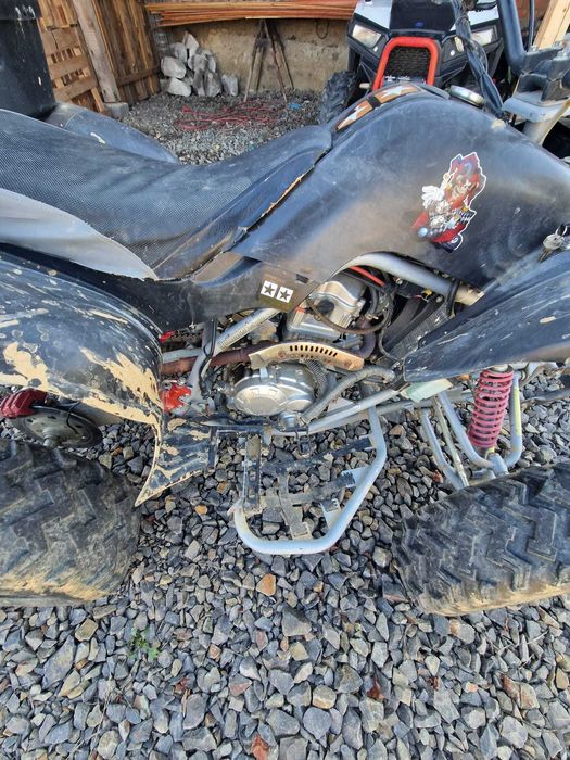 Vand atv 250 manual