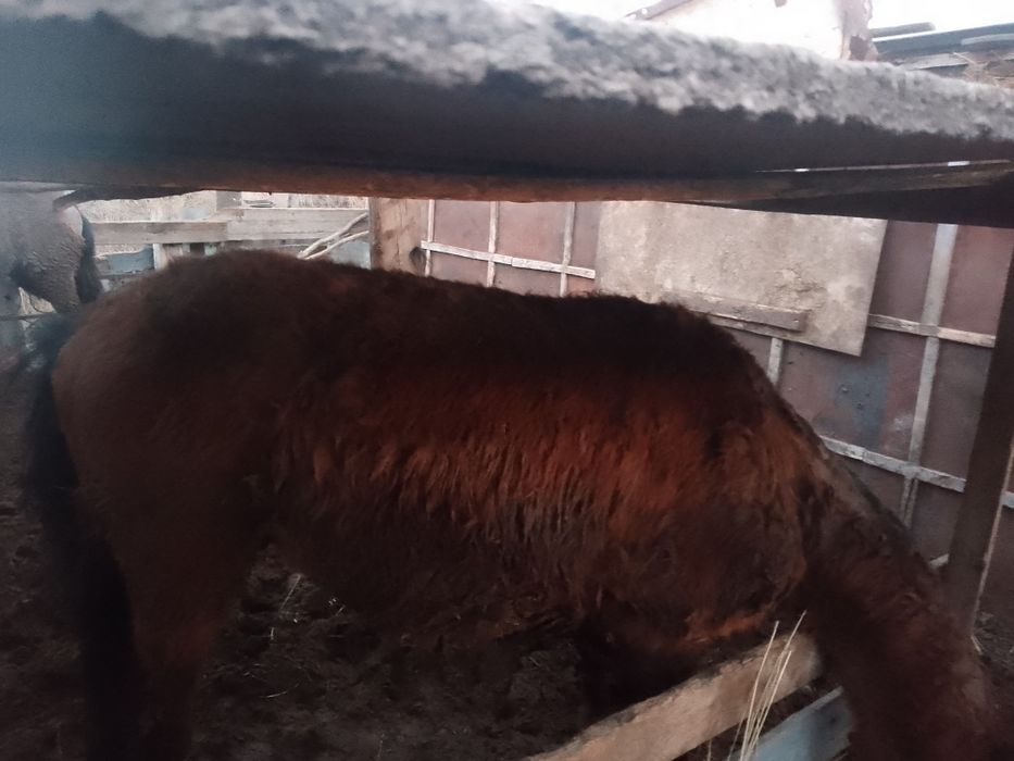 Продам 360000 торг