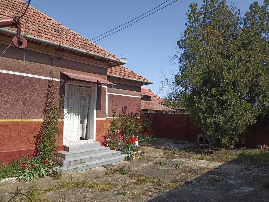 Vând casă cu grădina în Cermei Nr 451