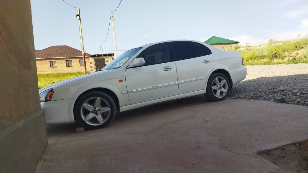 Даево Магнус сатылады