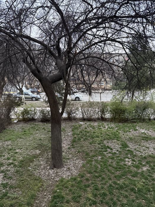 Своя Под офис 1-линия вдоль дороги 1-этаж 5-квартал 3-комн