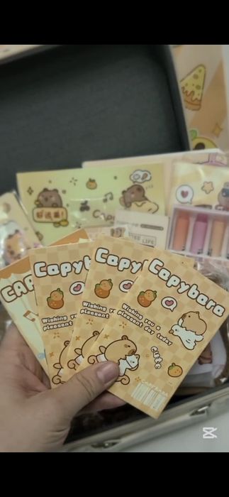 Capybara Канцелярский набор