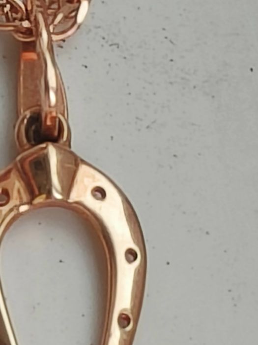 Цепочка с кулоном подкова