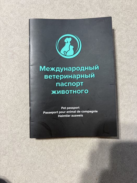 Немецкая овчарка