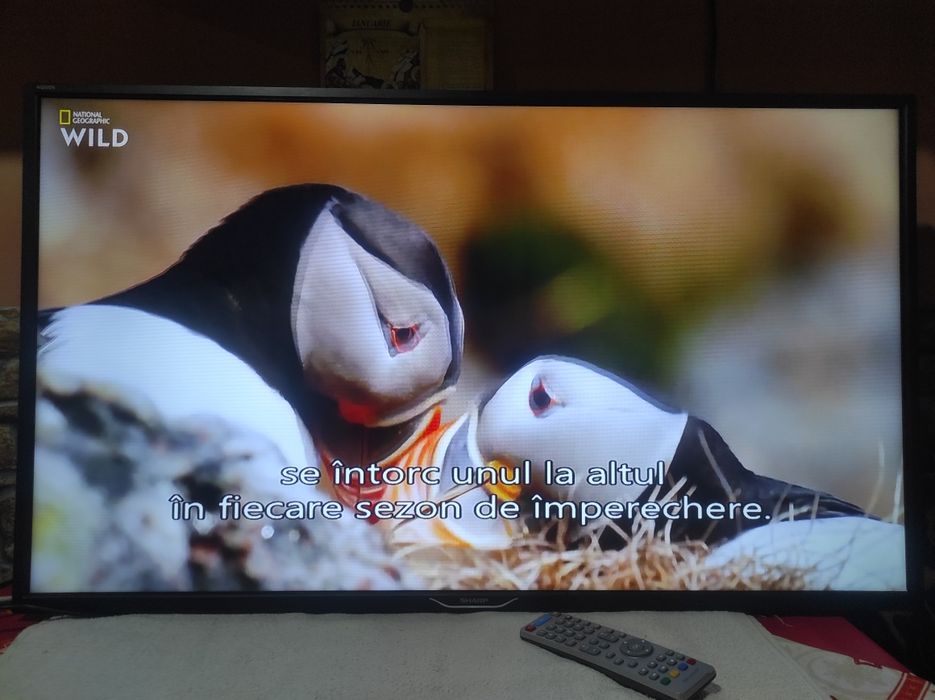 Smart tv Sharp 102 cm