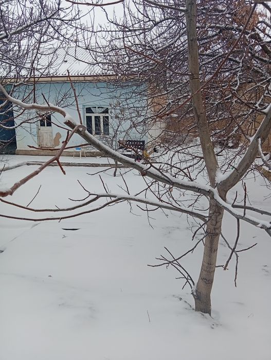 Bulungʻur tumanida uy sotiladi