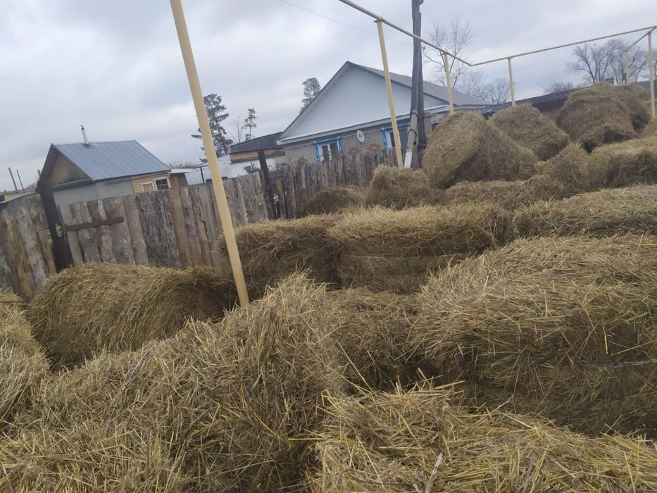 Солома продам есть доставка