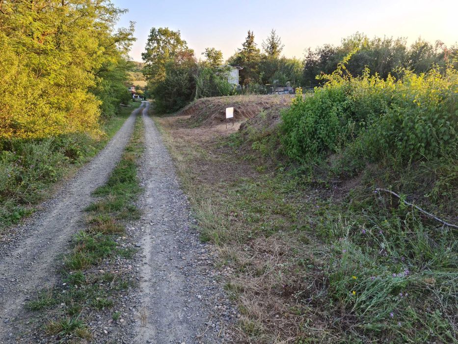 intravilan 10 si 12 ari viile satu mare