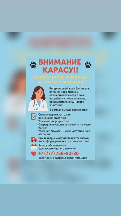 Ветеринарные услуги