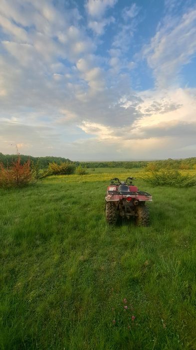 Vând yamaha beartracker 250