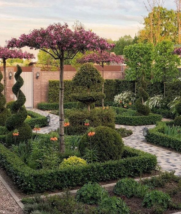 Ideal turdagi manzarali darahtlar