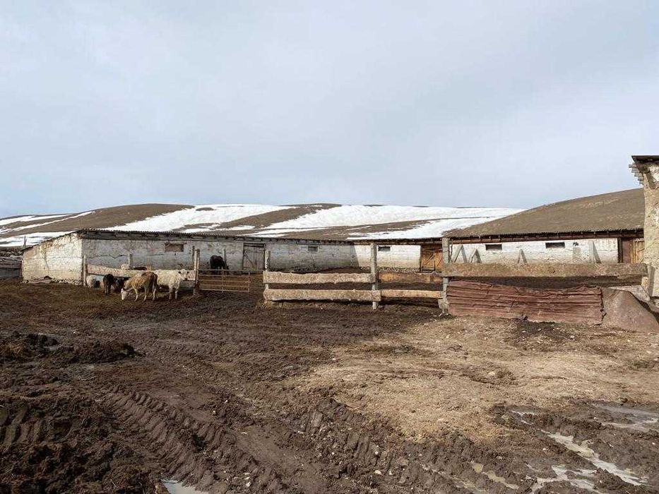 Продам Крестьянское хозяйство