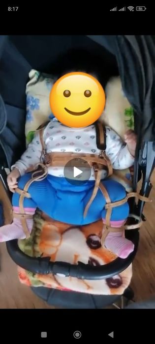 Стремена Павлика