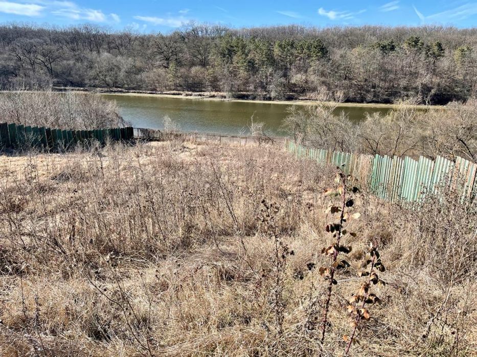 Teren Branesti cu deschidere la lac aproape de padure