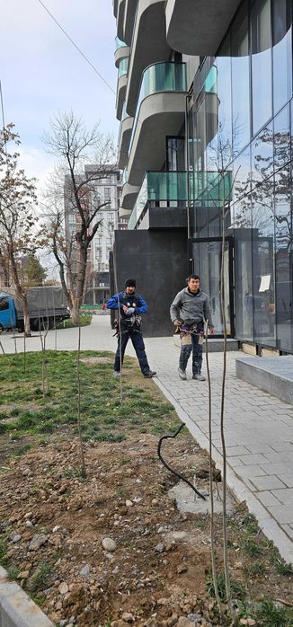 Ойна йувиш. фасад тозалаш