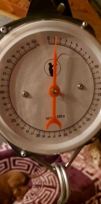 Vand set pescuit crap