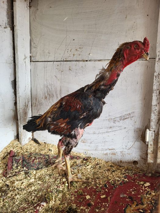 Онлайн hd порно