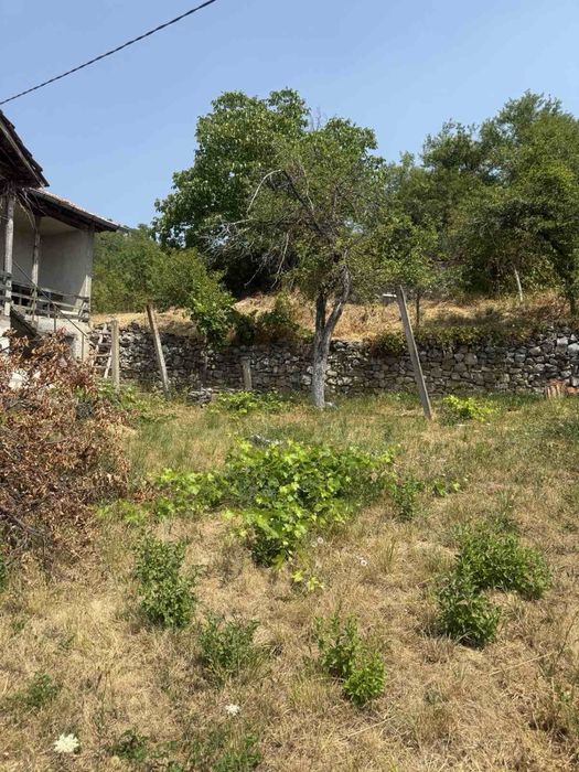 Продава се Къща в с. Цървеняно, Област Кюстендил - 1500 кв.м за 20 €/кв.м - Снимка #5