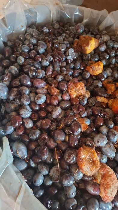 Vand prune pentru țuică 2 lei