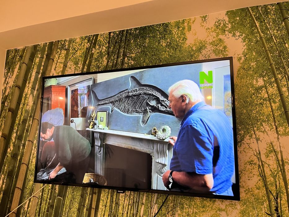 TV LED FHD 48 Inch 120 CM Philips TV LED