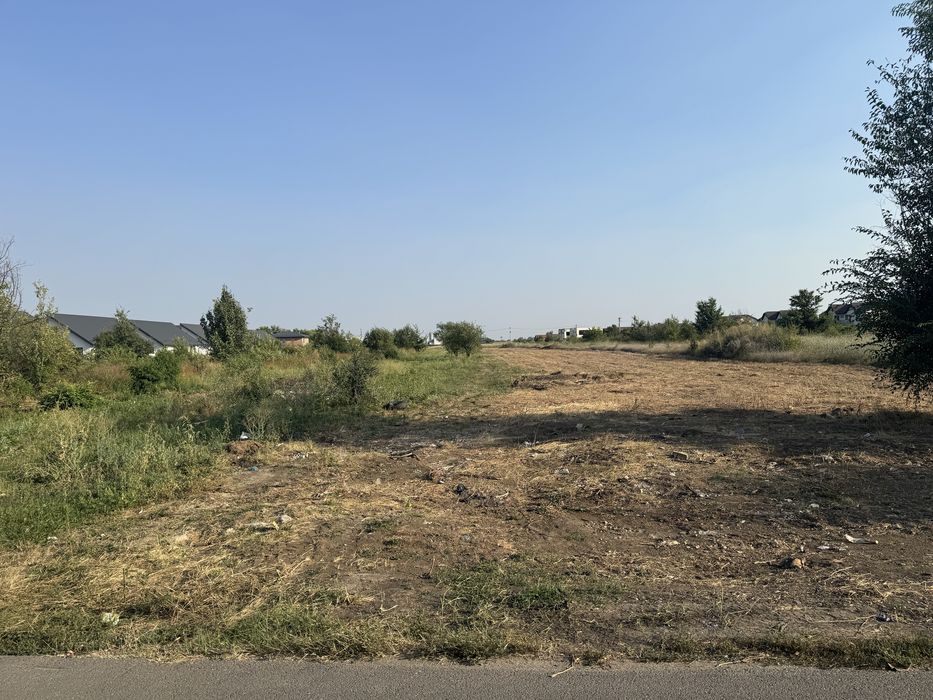 Teren intravilan  Domnesti/Clinceni