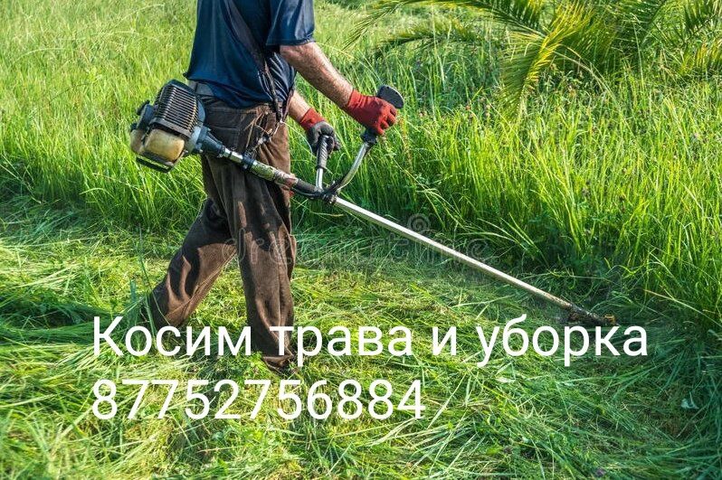 Косим. Трава Шөп орамыз +Уборка