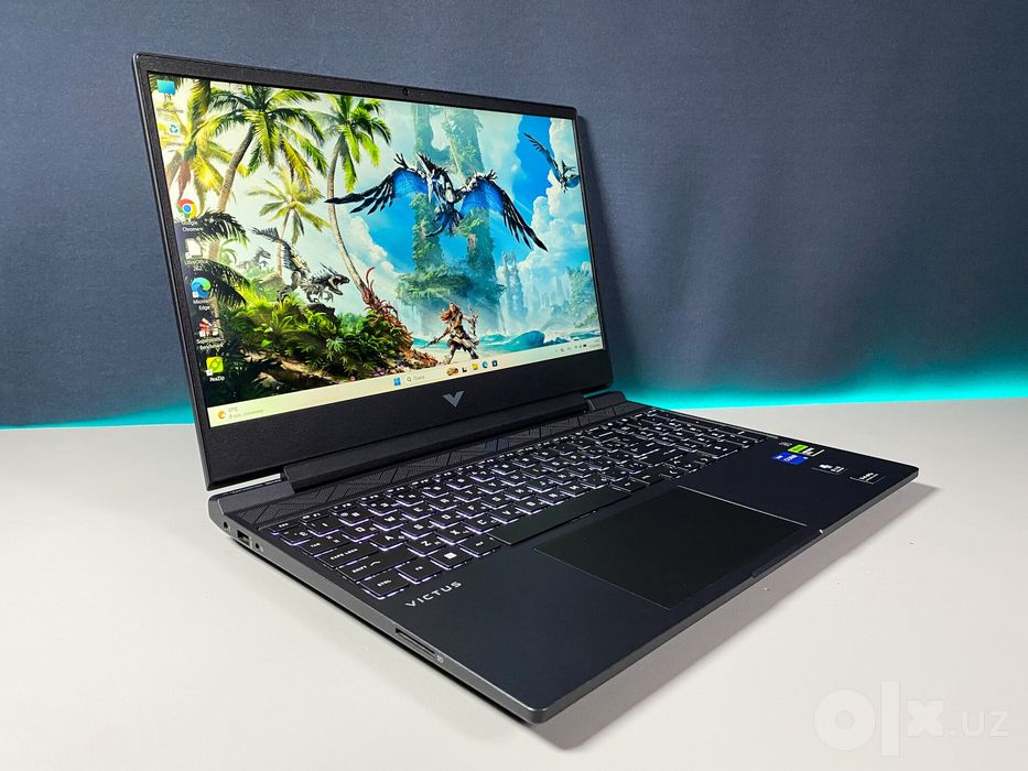 HP Victus i5 8/512