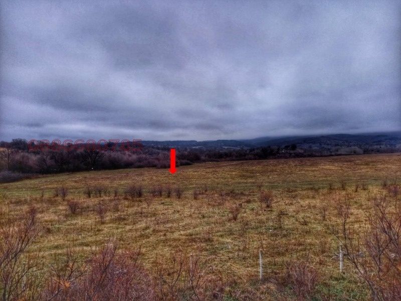 Продава се Парцел в с. Мало Бучино, Област София-град - 10000 кв.м за 20 €/кв.м - Снимка #2