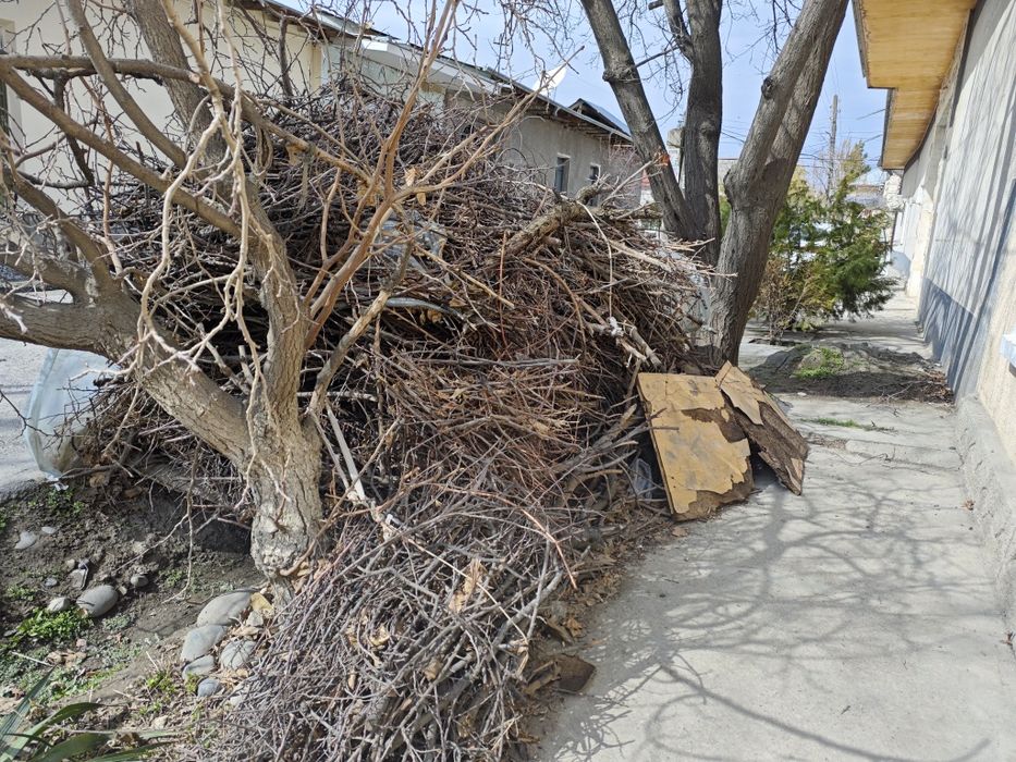 Продаются Дрова.