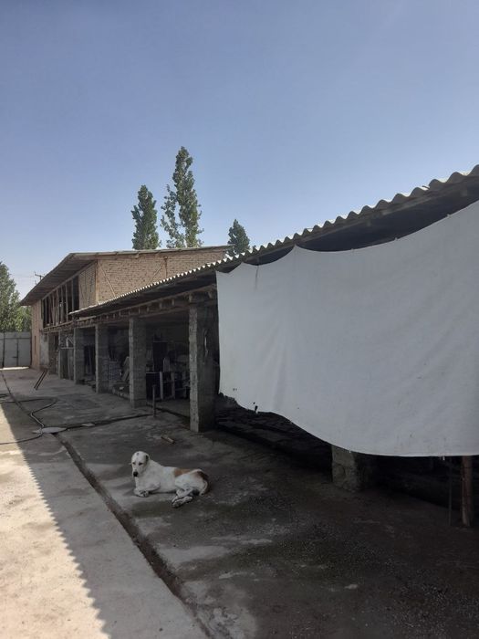 Участка сотилади 12 сотих