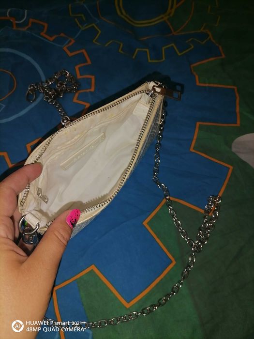 Готина  чантичка