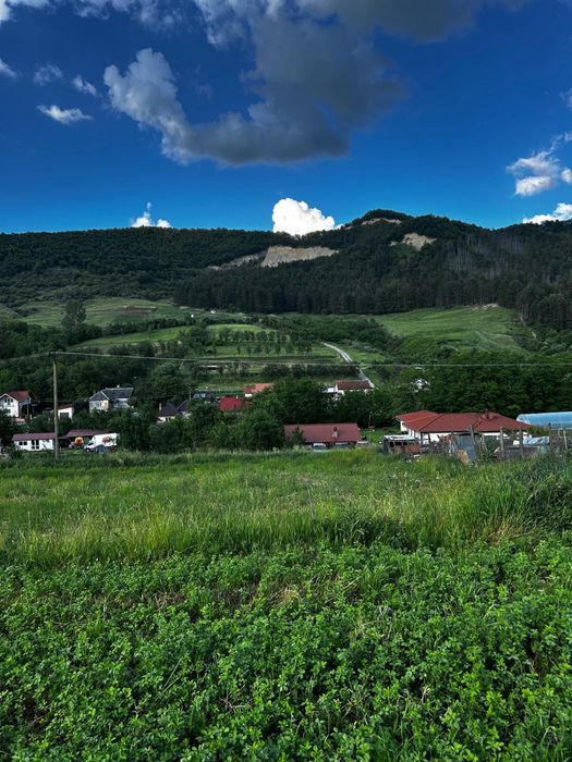 Vand  teren  1300 mp., Nicula, jud. Cluj