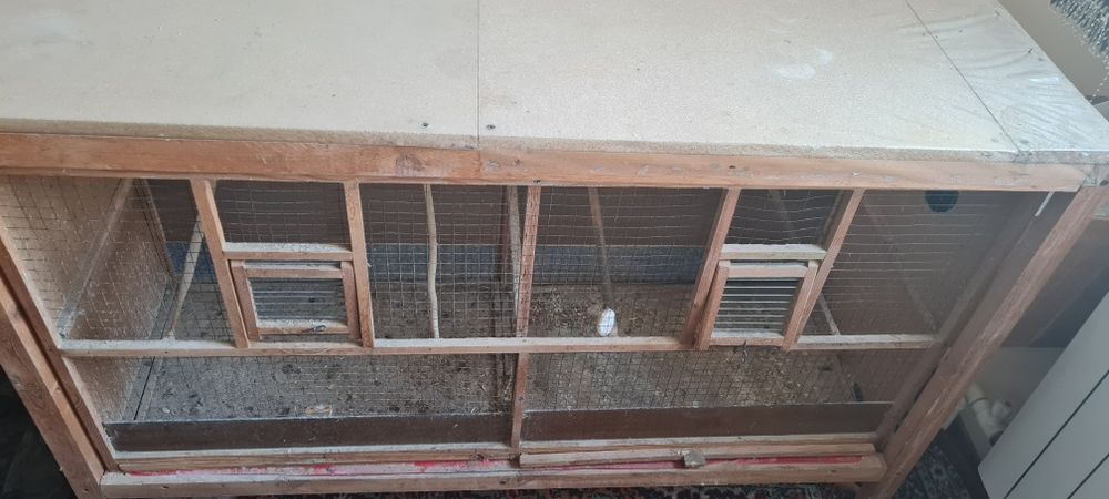 Клетка кушлар учун