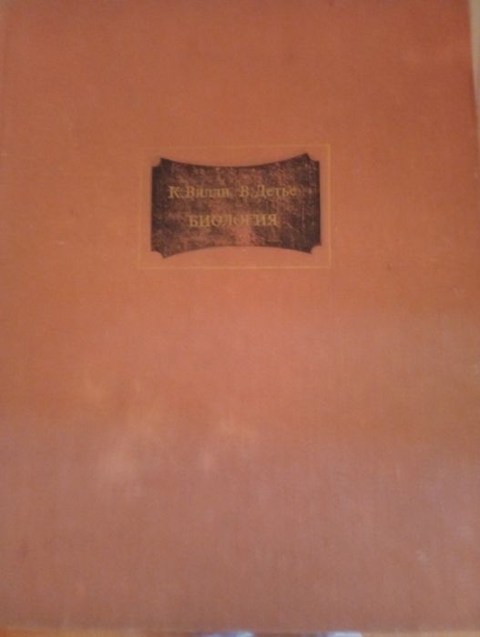 К, Вилли, В, Детье Биоллогия