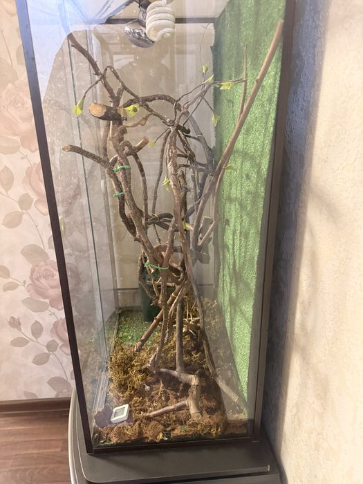 Террариум 100х60х40