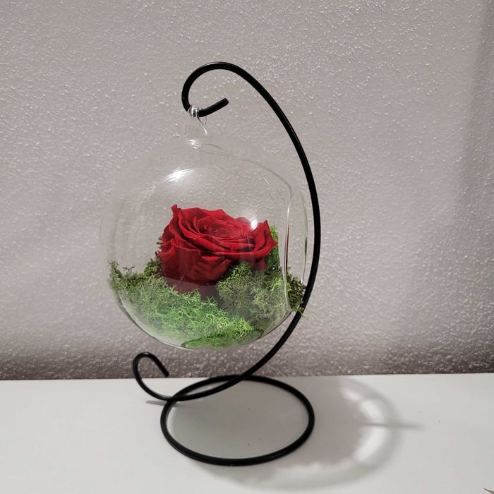 Ornament cu lichieni