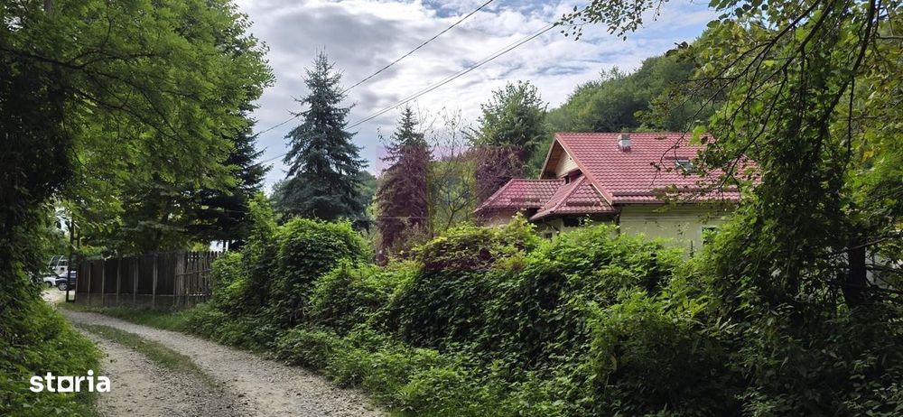 Teren de vanzare 15.000 mp in Telega