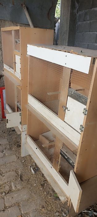 Sifatli kataklar sotiladi