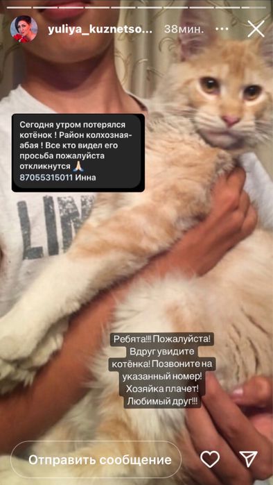 Верните пожалуйста котенка