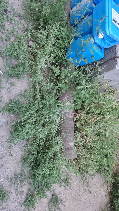 Чугунная труба 4.20