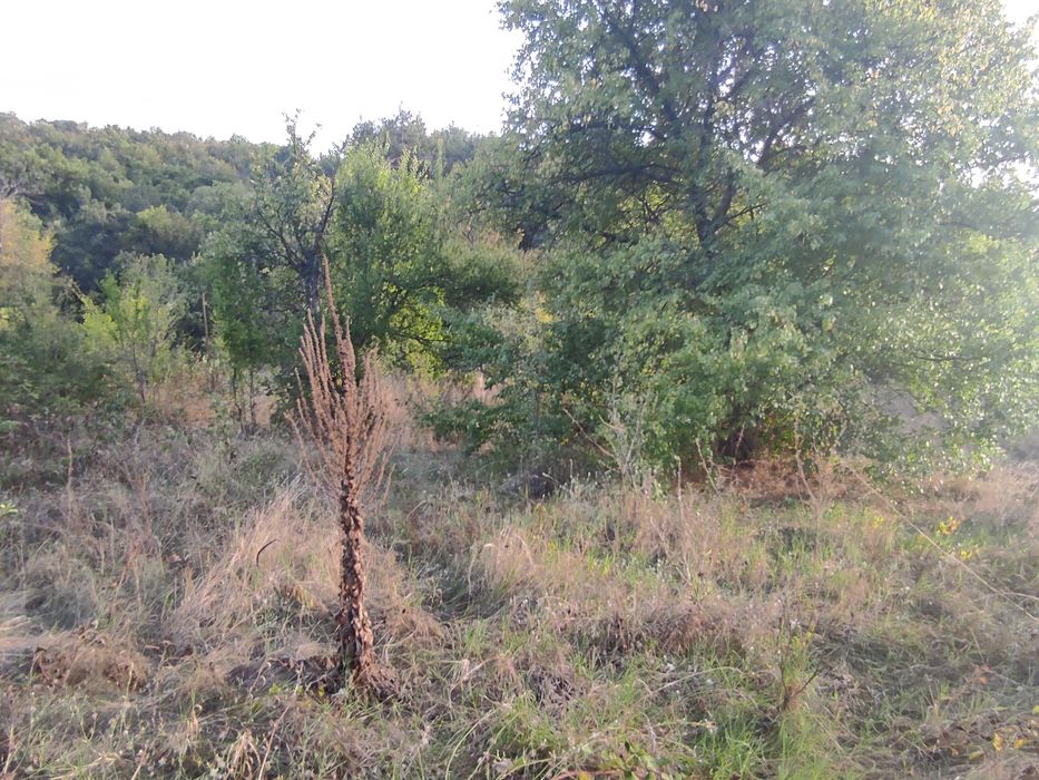 Продава се Парцел в с. Сърнегор, Област Пловдив - 433 кв.м за 18 €/кв.м - Снимка #15