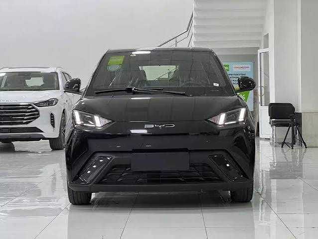 Byd seagull 2026  naqt va xalol nasiya