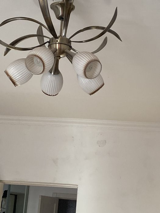 Люстра 5 рошковая