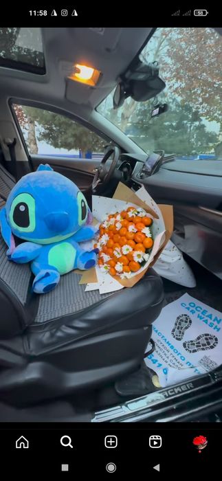 Teddi Тедди Ayiq Myaxkiy  (50sm 3metrgacha) narxi  ozgaradi