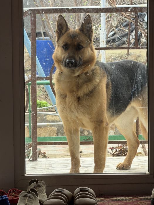 Вязка девушка. Кушиш мода.