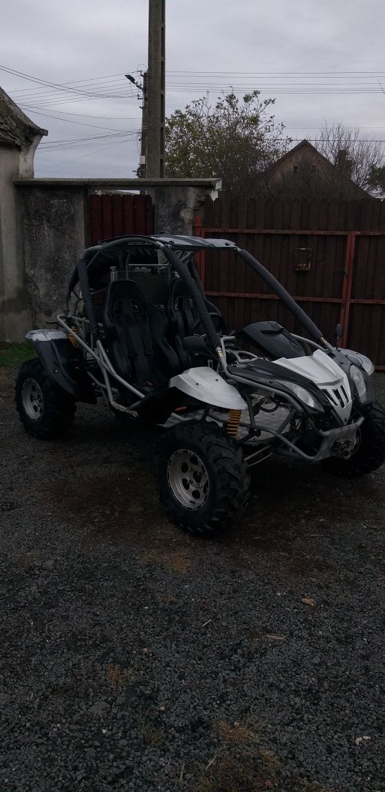 Quadzilla rl500 best sale buggy for sale