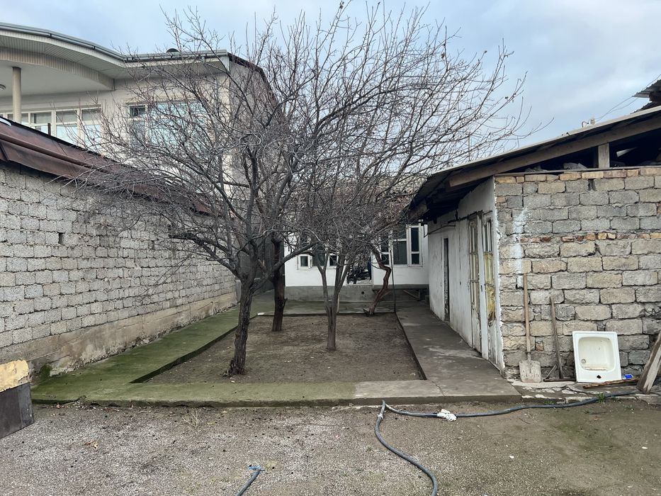 arendaga hovli sampi universitetining oldida