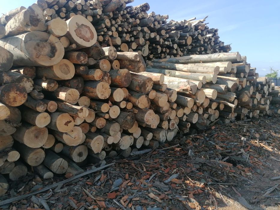 Lemn de foc stejar, fag și carpen