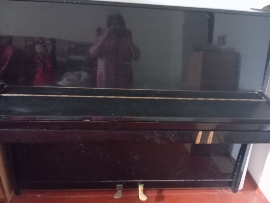 Фортепиано "Терек"