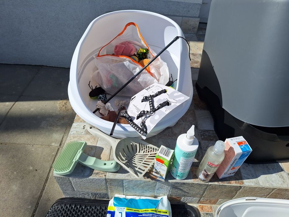Accesorii pentru pisici
